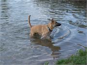 Ich geh dann mal ne Runde schwimmen